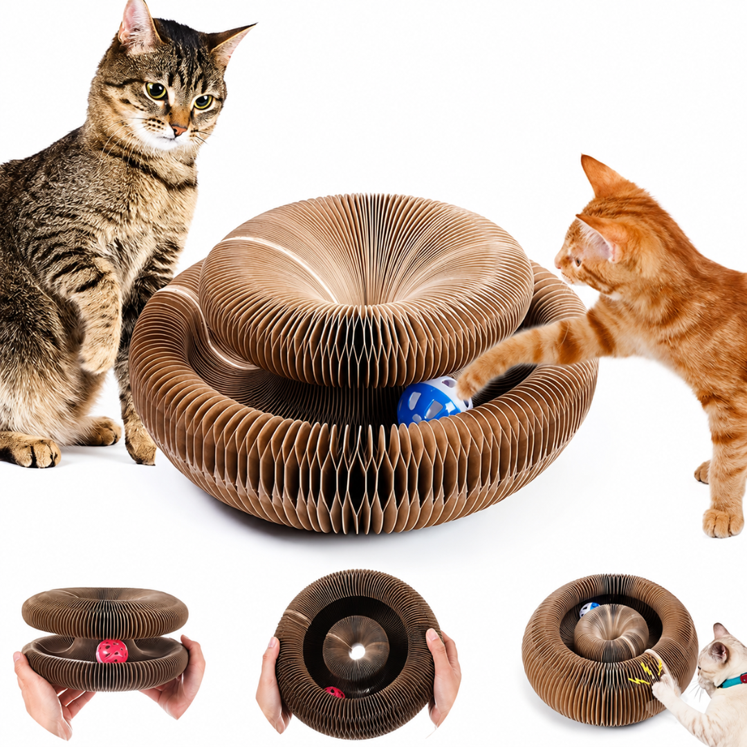 Rascador Plegable para Gatitos con Pelota