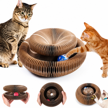 Rascador Plegable para Gatitos con Pelota