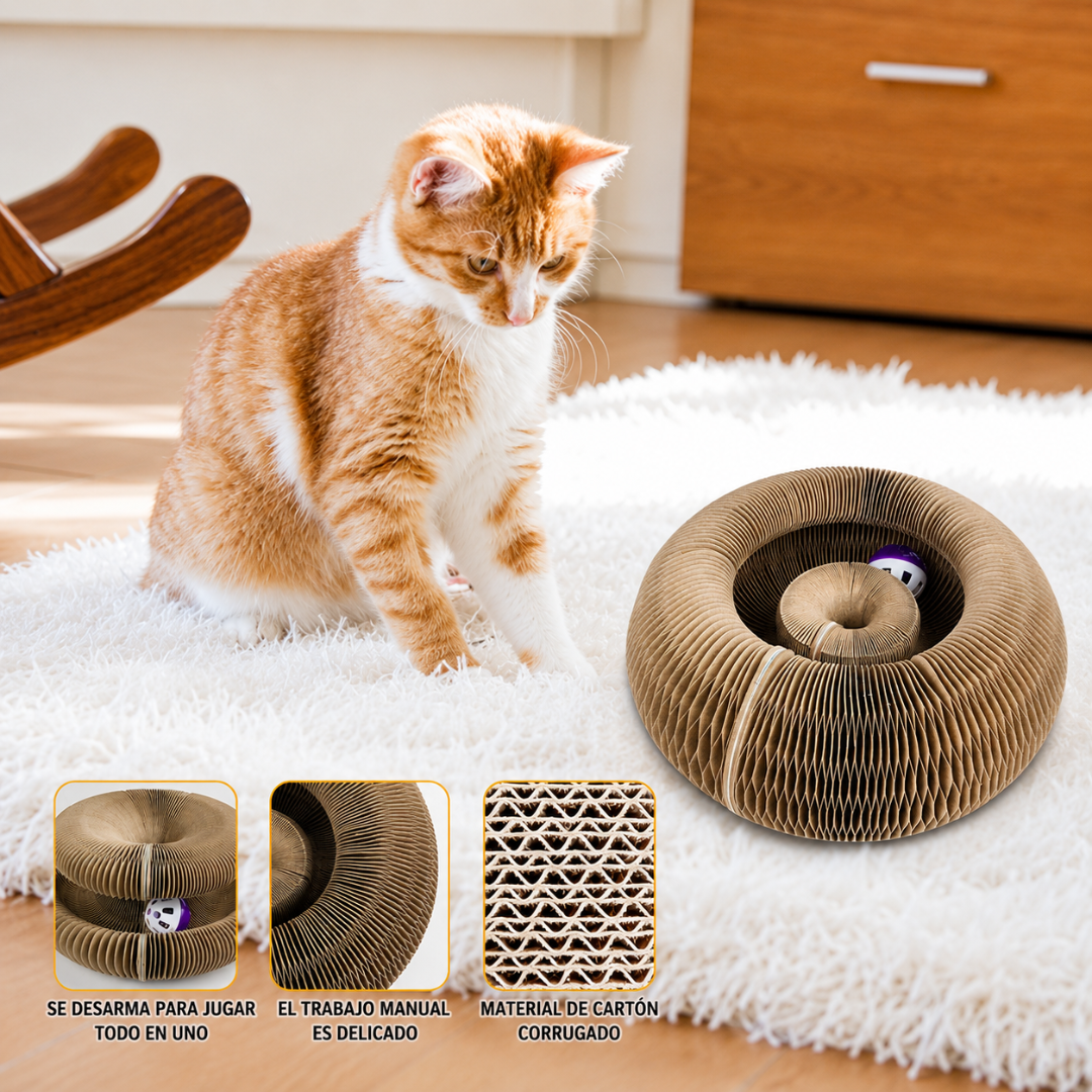 Rascador Plegable para Gatitos con Pelota